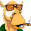 CamelBet Casino